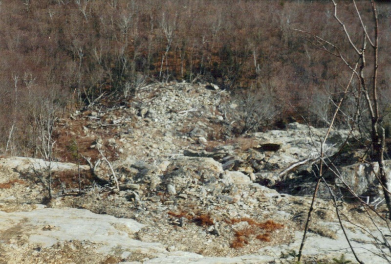 Close up of debris pile from the top