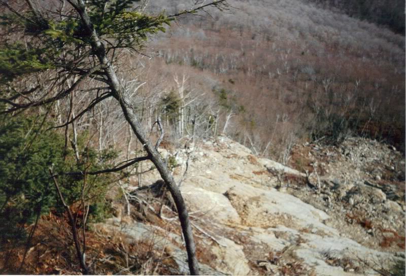 Had to head into the woods to get around the headwall