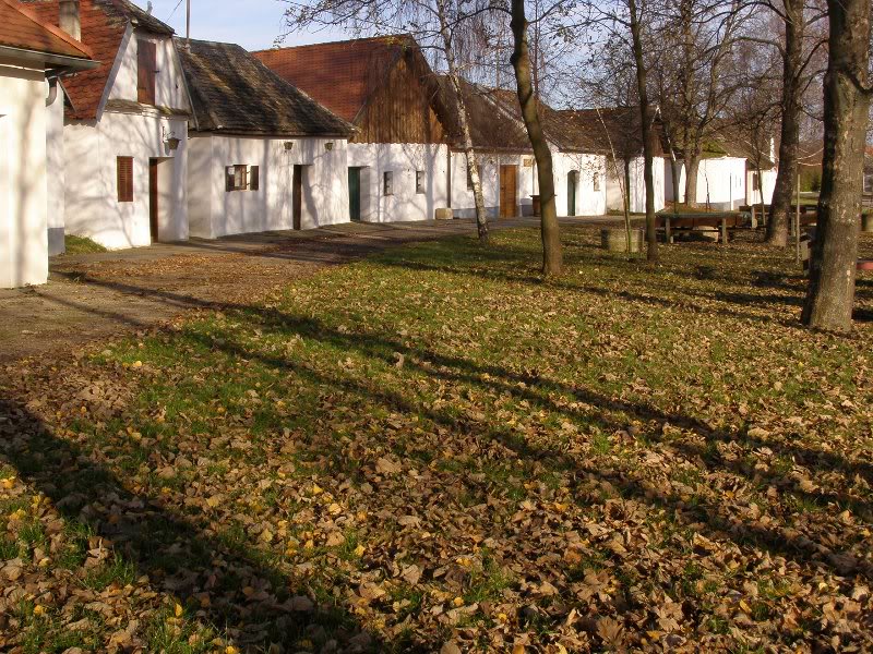 weinviertel - lane with wine cellars