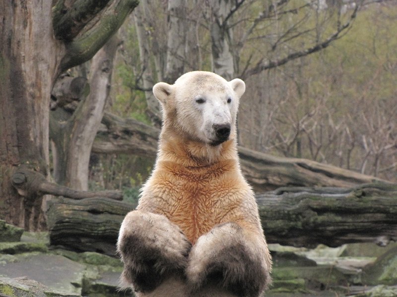 Bitte um Aufmerksamkeit. ....