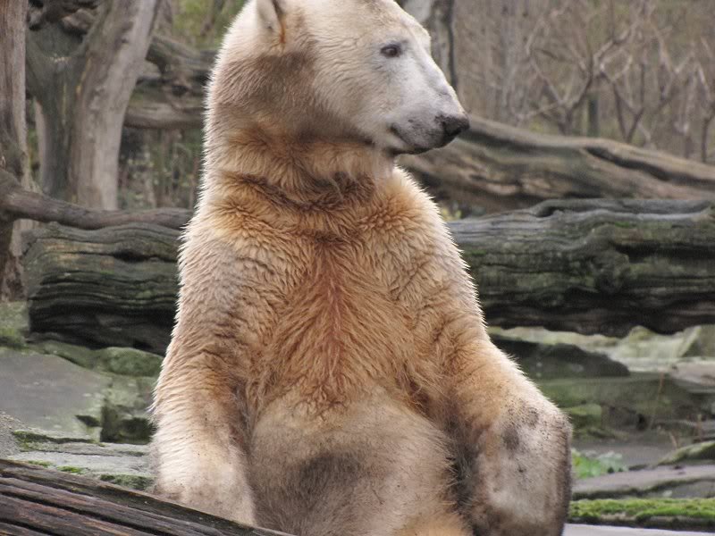 Guck nicht nur nach Juergen.....