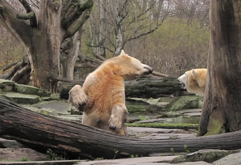 hach, ich habe eine Idee.....