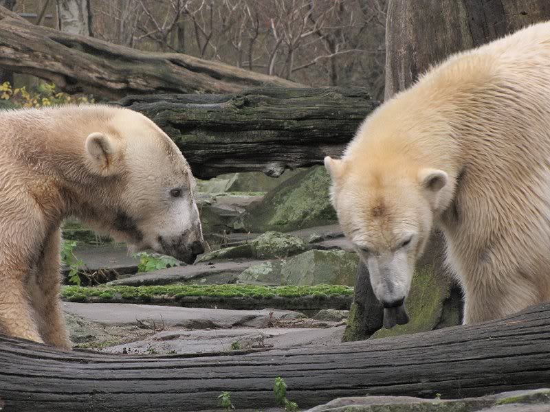 wie gefalle ich Dir jetzt?