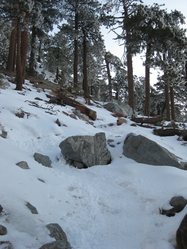 Baldy 12-14-09 002