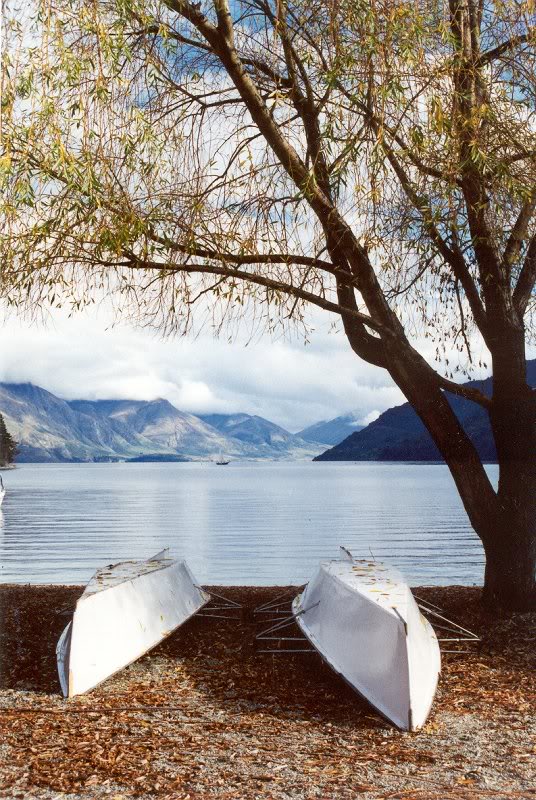 Wakatipu canoes