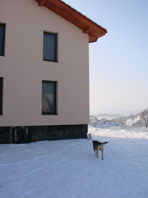 casa, iarna si cateii