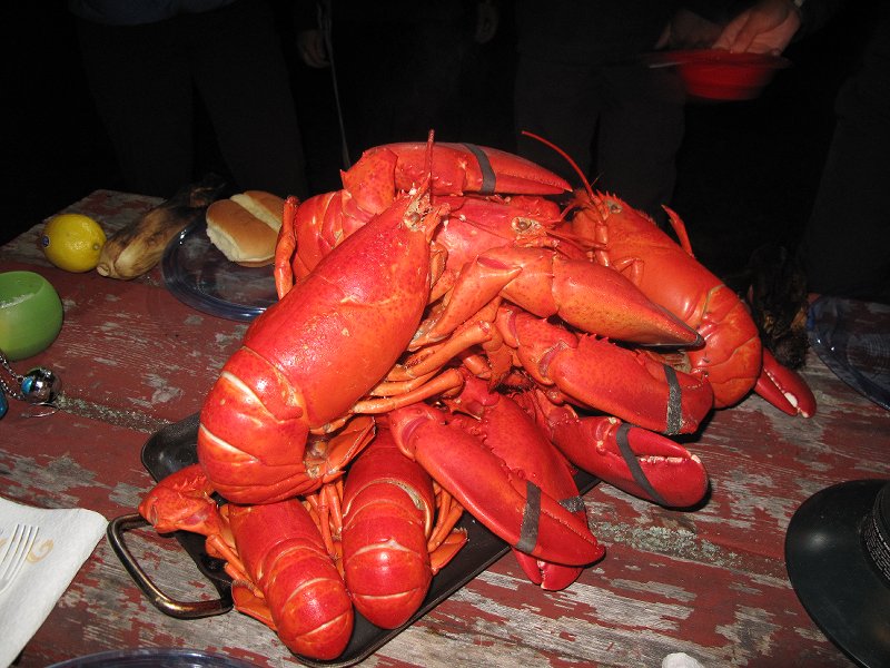 Acadia Weekend '09 243