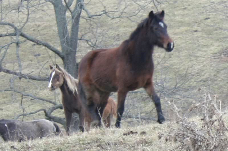 19 January 2010 2 019e