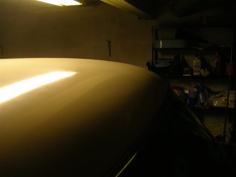 2009 Christmas Shot 068