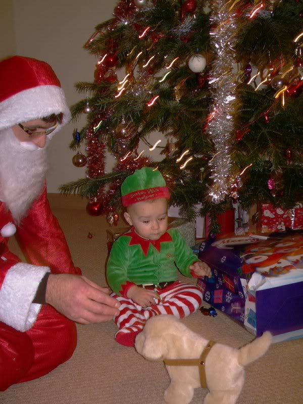 Catelus cu parul ... lins