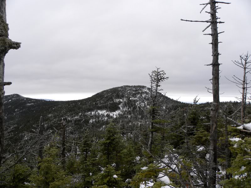 2525_donaldsonf romseward