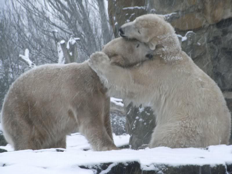 Ein Herz und eine Seele