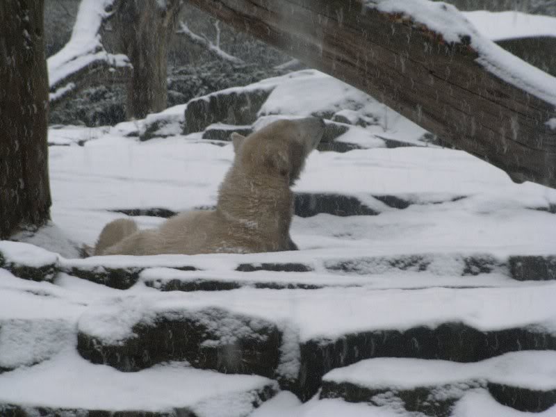 Hej Knuti, unsere G��ste sind wieder da
