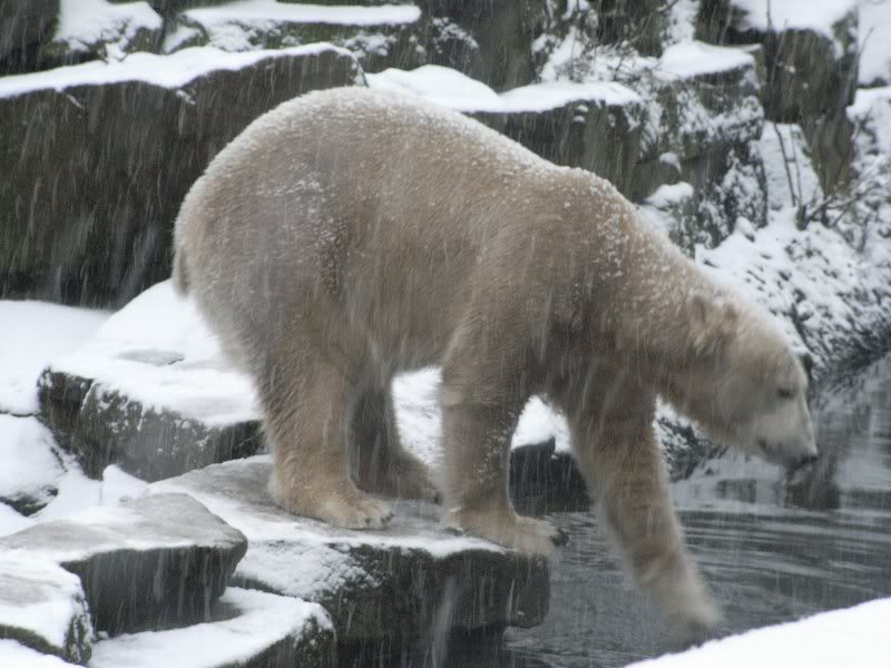 Teste gerade das Wasser