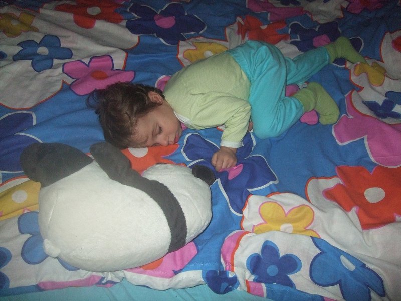 rapus inopinant de Panda