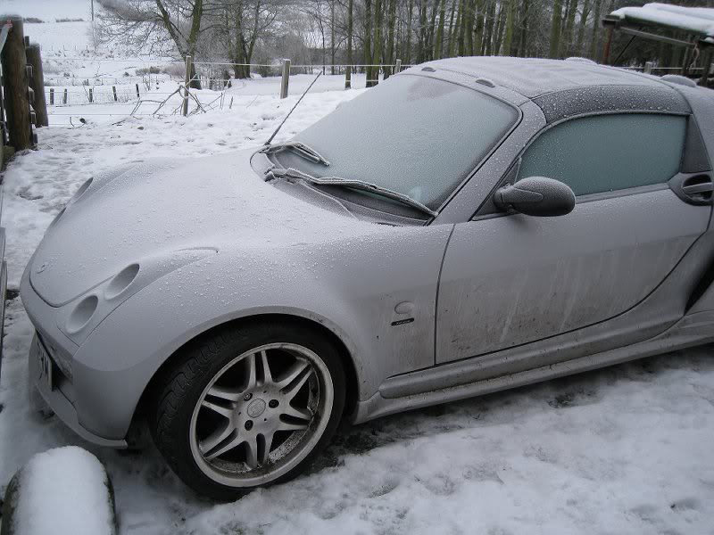 Christmas New Year Bday 014