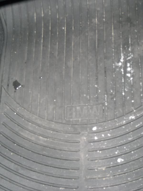 BMW Rubber Winter mats