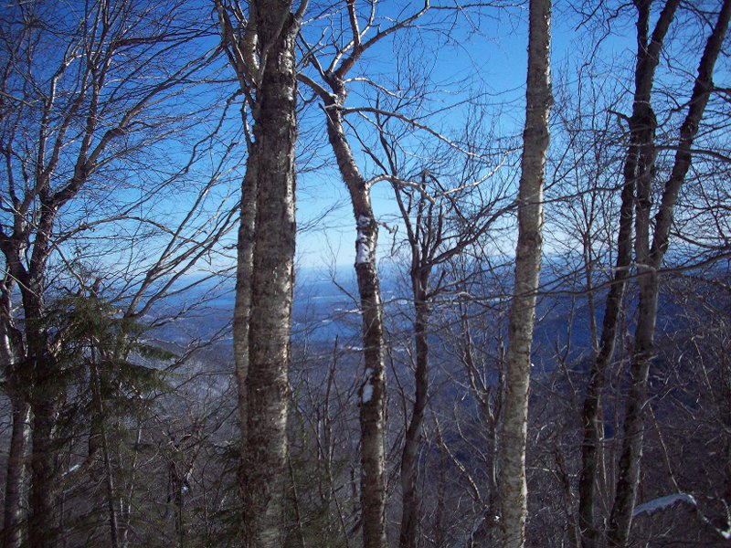 Friday-Balsam Cap 1-9-10 005