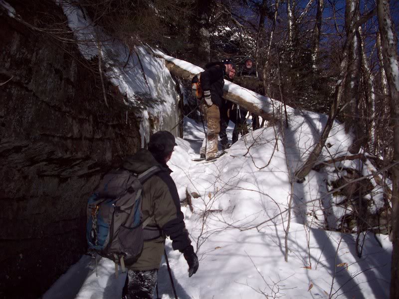 Friday-Balsam Cap 1-9-10 010