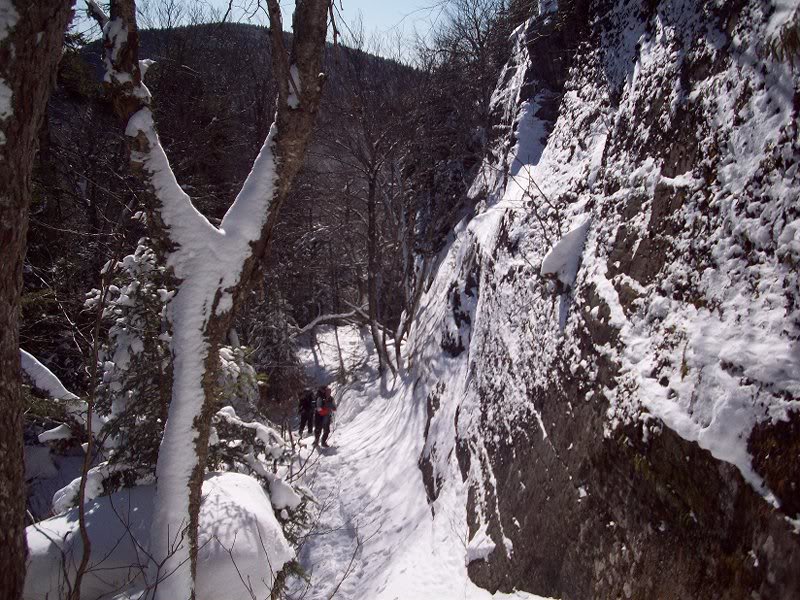 Friday-Balsam Cap 1-9-10 012