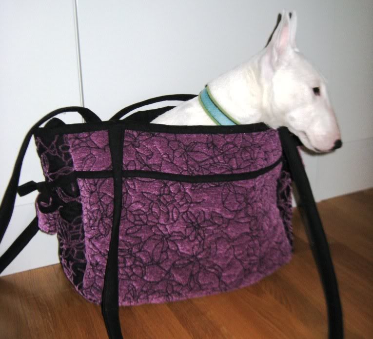 hunden i v��skan