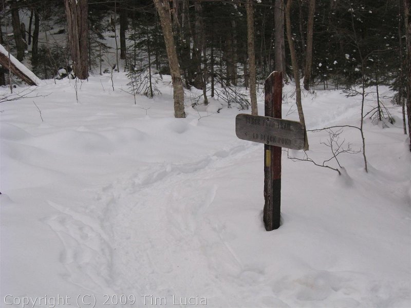 This way to Black Pond