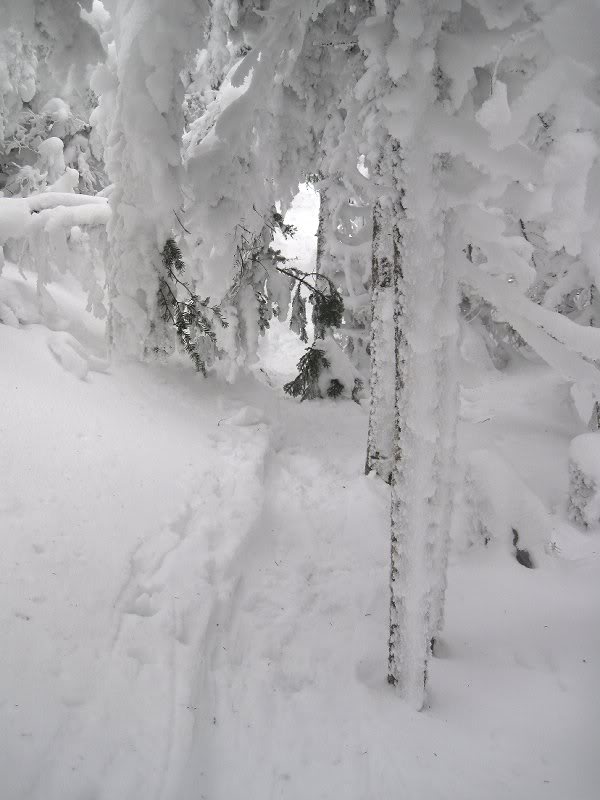 Crescent Ridge Trail 2