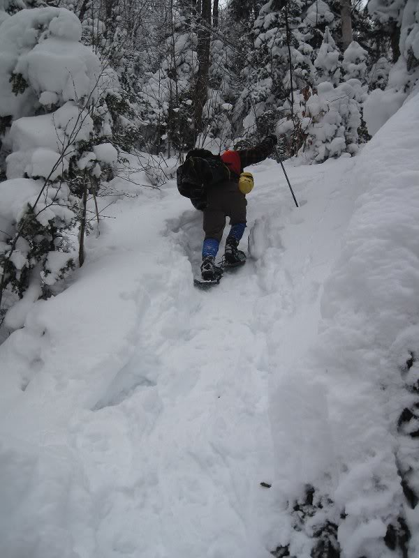 Stan Mt Crescent 16jan10