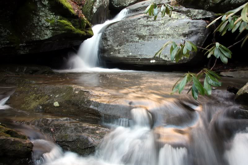 Cascades on Clover Patch Branch