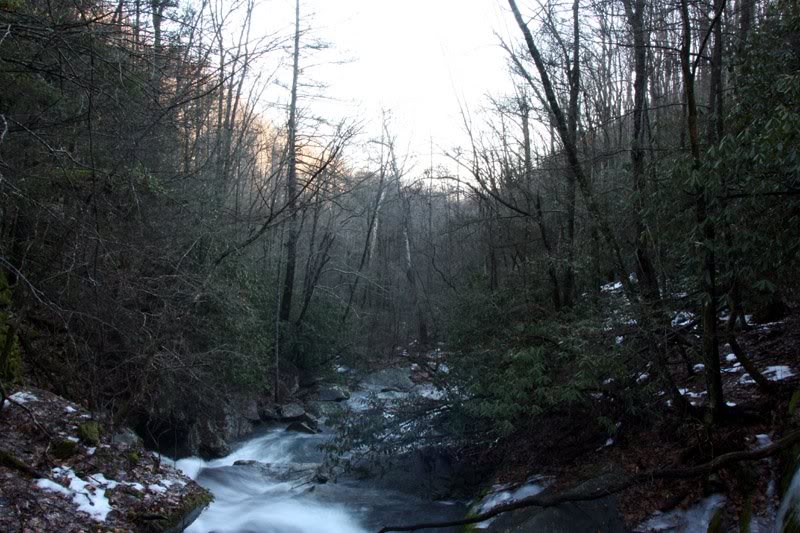 Looking downstream from the Dam