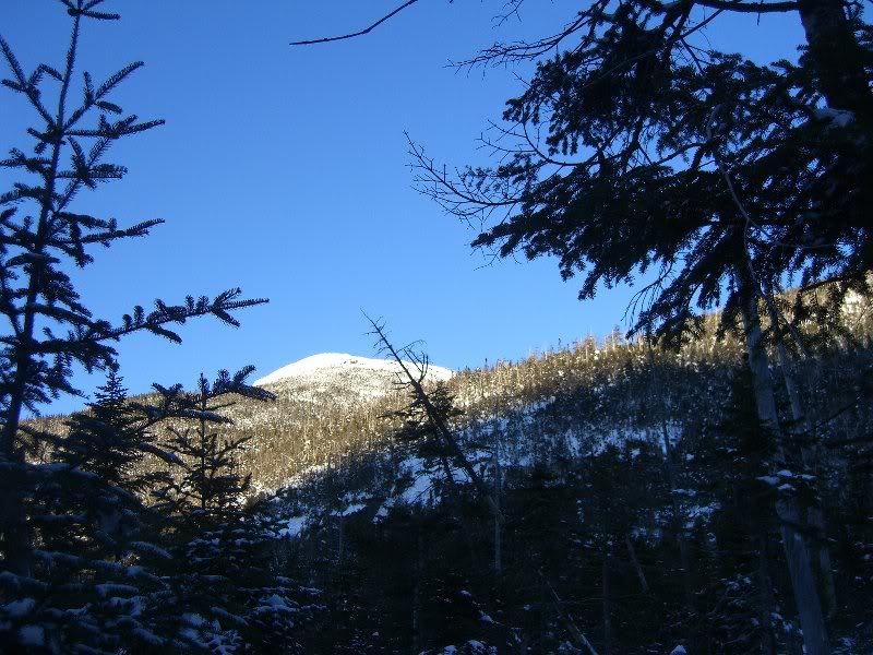 10- Colden on Trail to Feldspar leanto