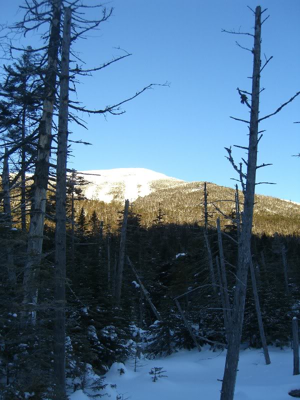 13- Colden on Trail to Feldspar leanto