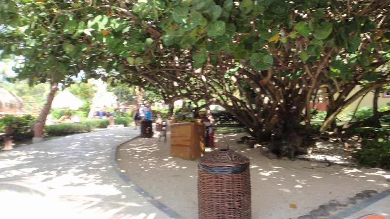 Sunday January 24th 046