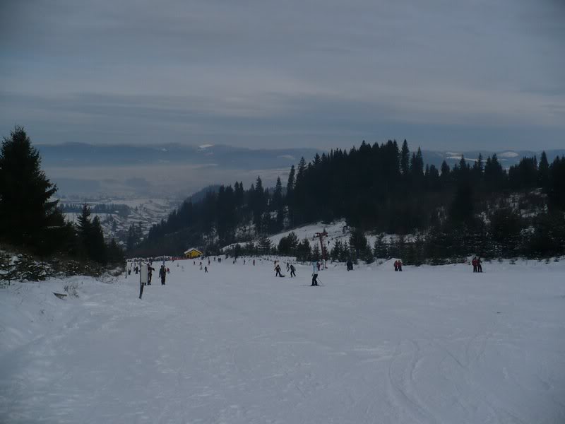 partia Toplita 30.01.10