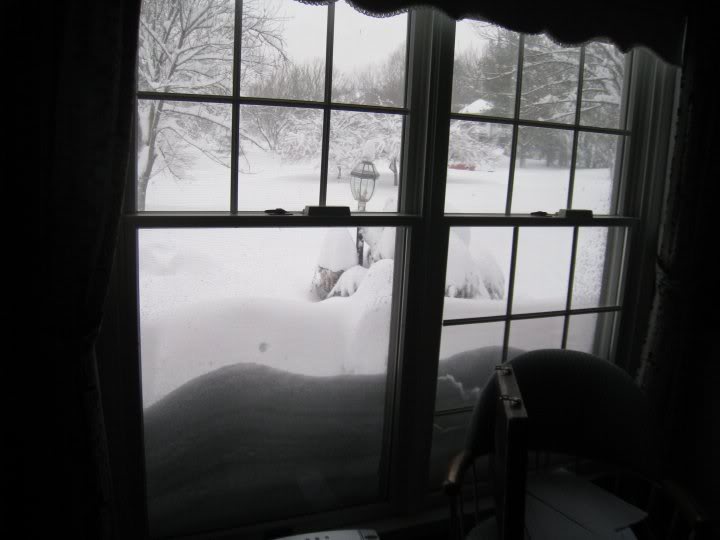 From the Office-Out the Front of the House