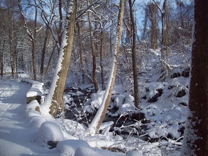 Rockefeller Preserve 2-11-10 099