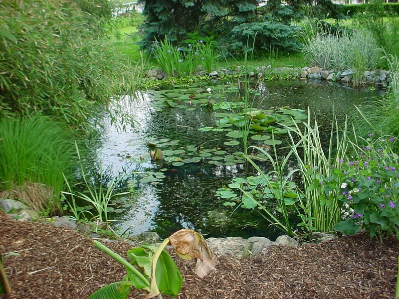 pond 2 where victoria will be living soon!