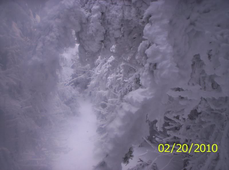 Whiteface-Esthe r Winter 2-20-2010 008