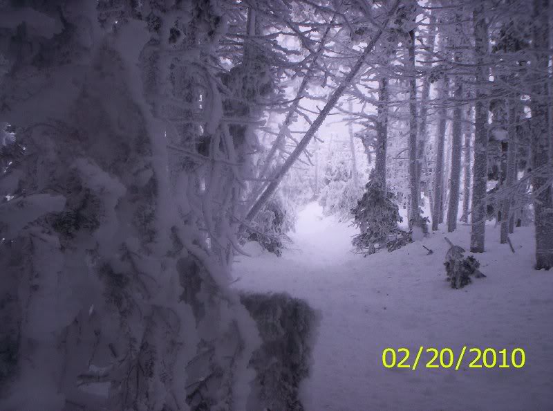 Whiteface-Esthe r Winter 2-20-2010 009