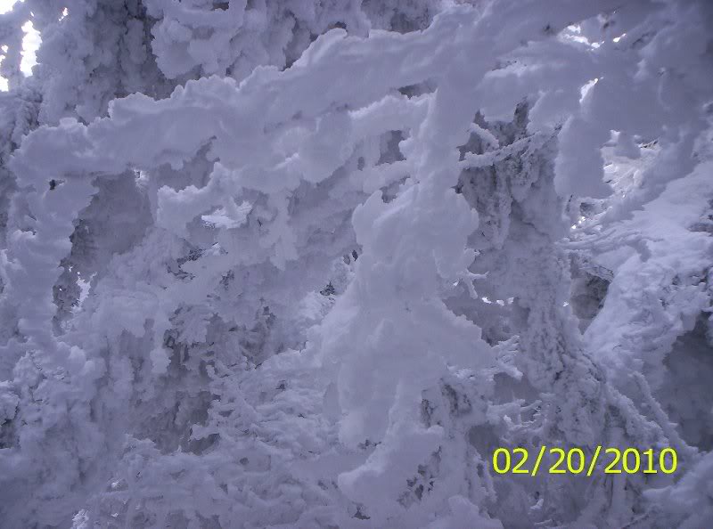 Whiteface-Esthe r Winter 2-20-2010 010