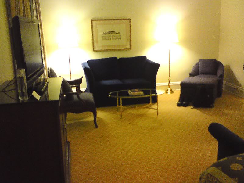 Sittingarea of tjhe Juniorsuite.