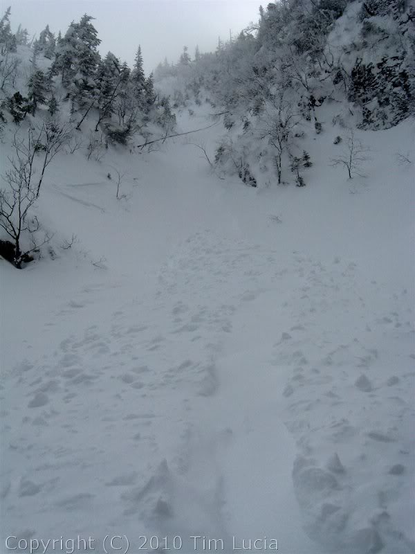 A slide, two or three days old