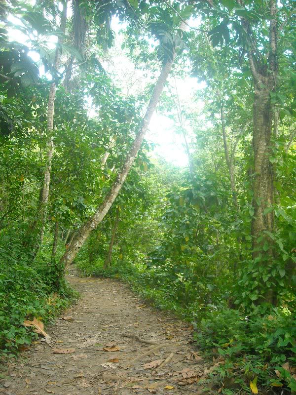 El camino, practicamente llano todo el tiempo