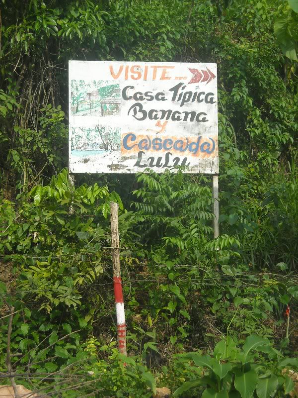 Se��alizaci��n hacia la cascada