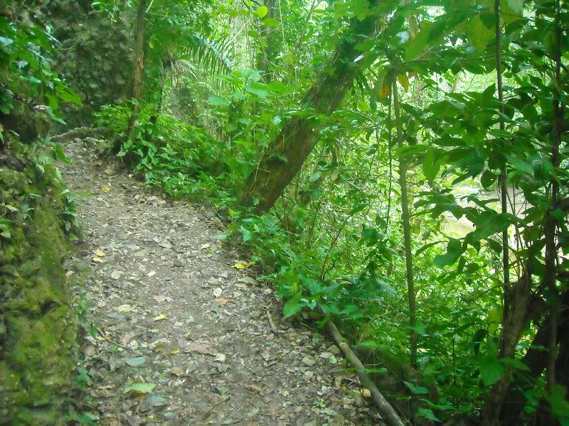 esta"subidita" es el tramo m��s complicado del paseo