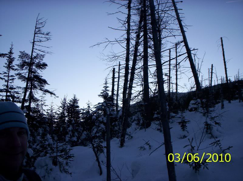 Gray-Skylight-M arcy Winter 004