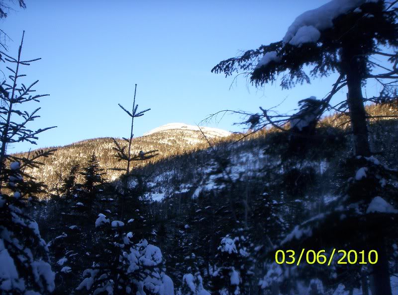 Gray-Skylight-M arcy Winter 005