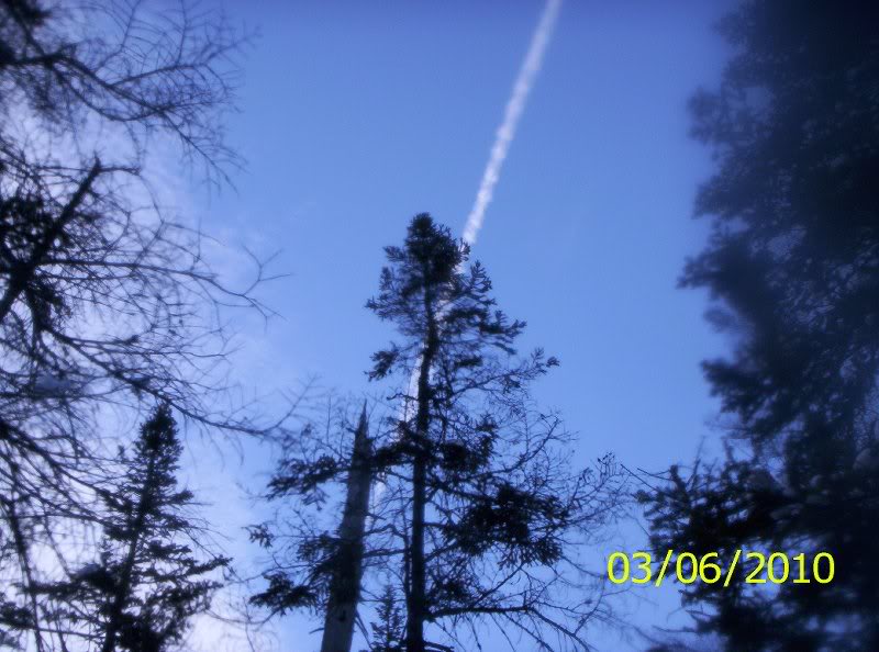 Gray-Skylight-M arcy Winter 007