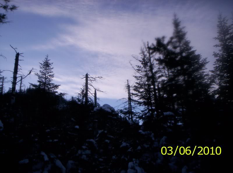 Gray-Skylight-M arcy Winter 008