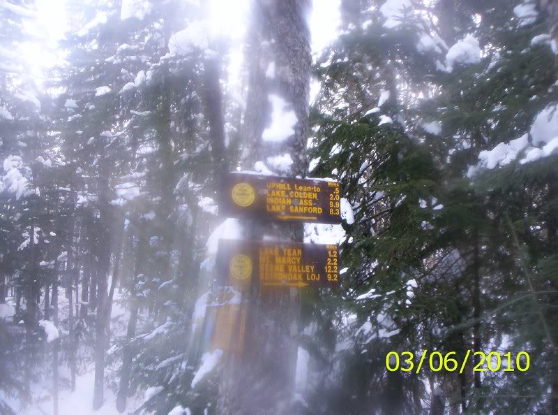 Gray-Skylight-M arcy Winter 009